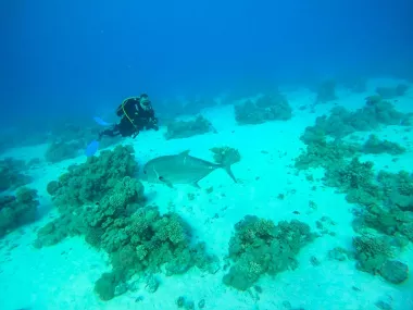 diveplanet-2022-5