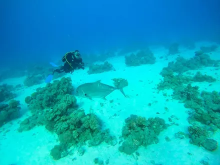 diveplanet-2022-5