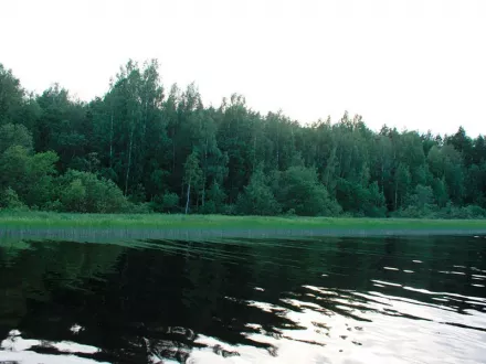 ladoga-morskoy-okhotnik-5