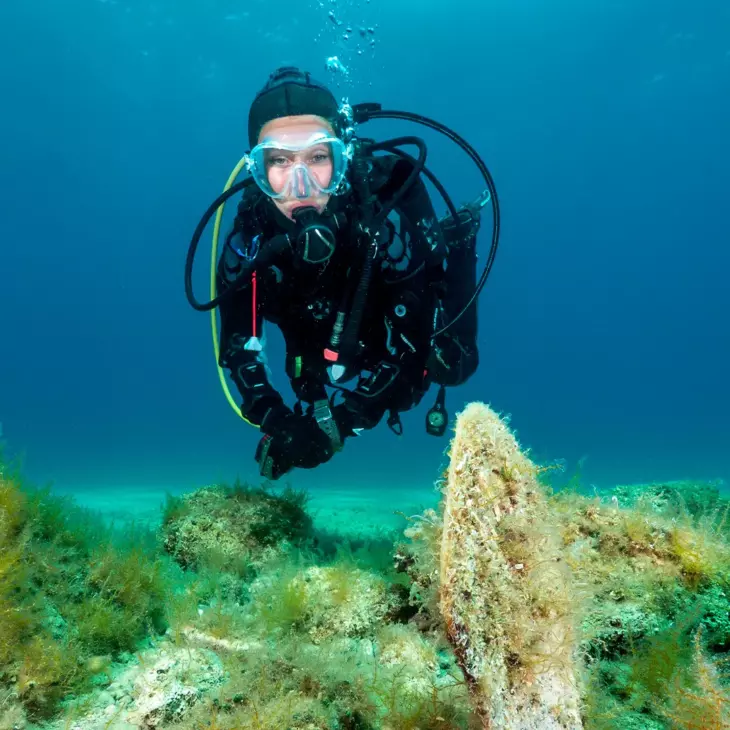 PADI divemaster